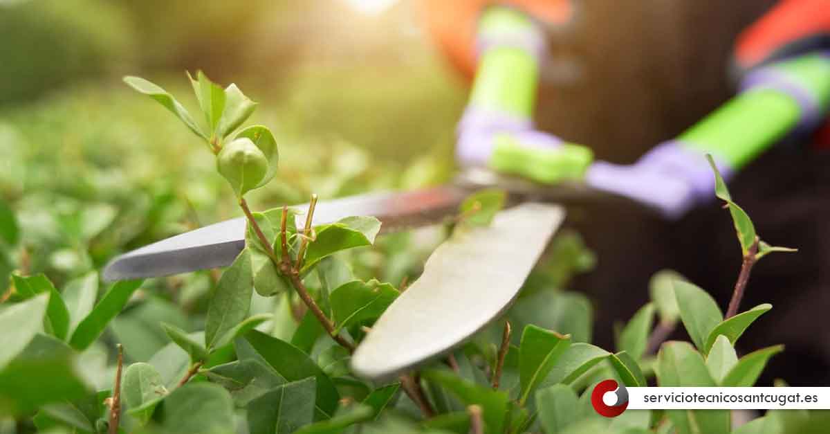 Mantenimiento de jardines en Sant Cugat