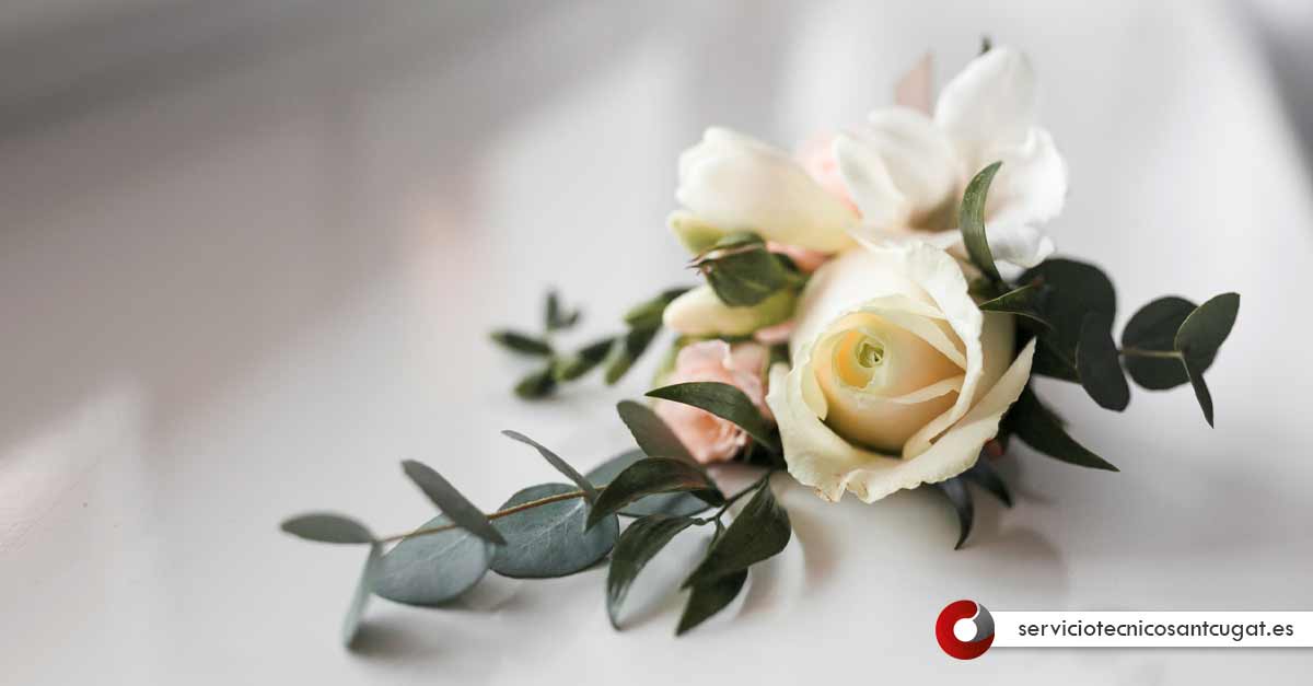 Funeraria En Sant Cugat Barcelona